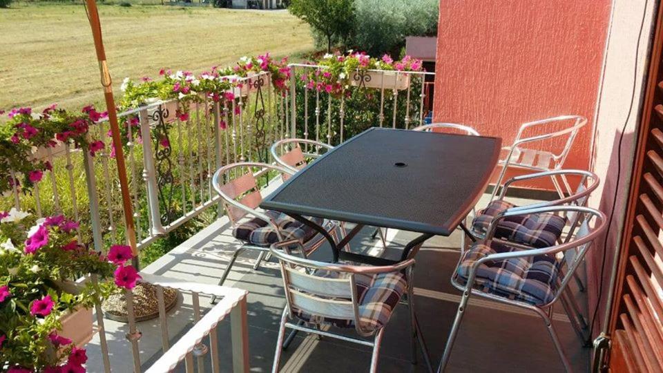 Apartments Dragica ポレッチ エクステリア 写真