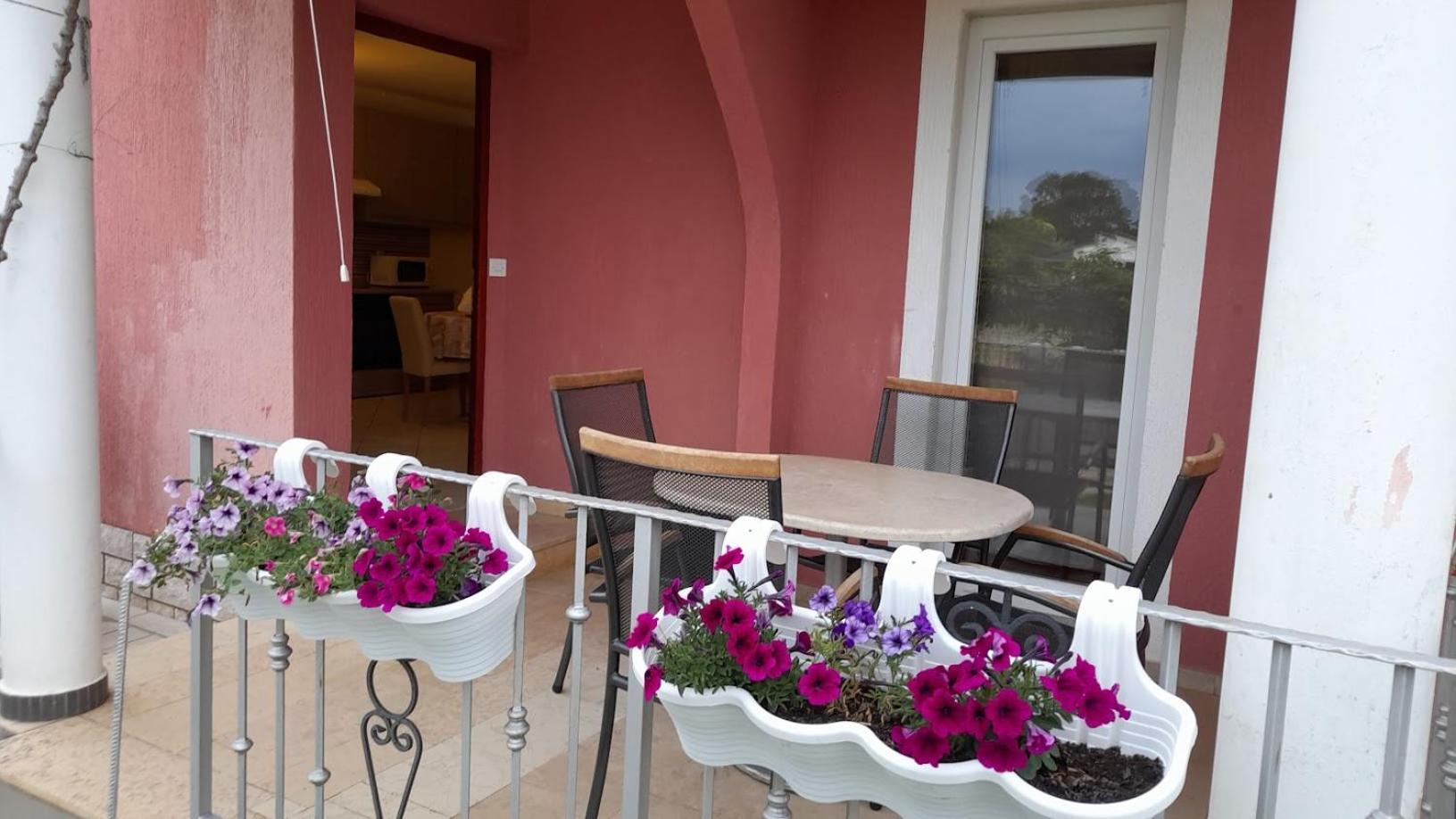 Apartments Dragica ポレッチ エクステリア 写真