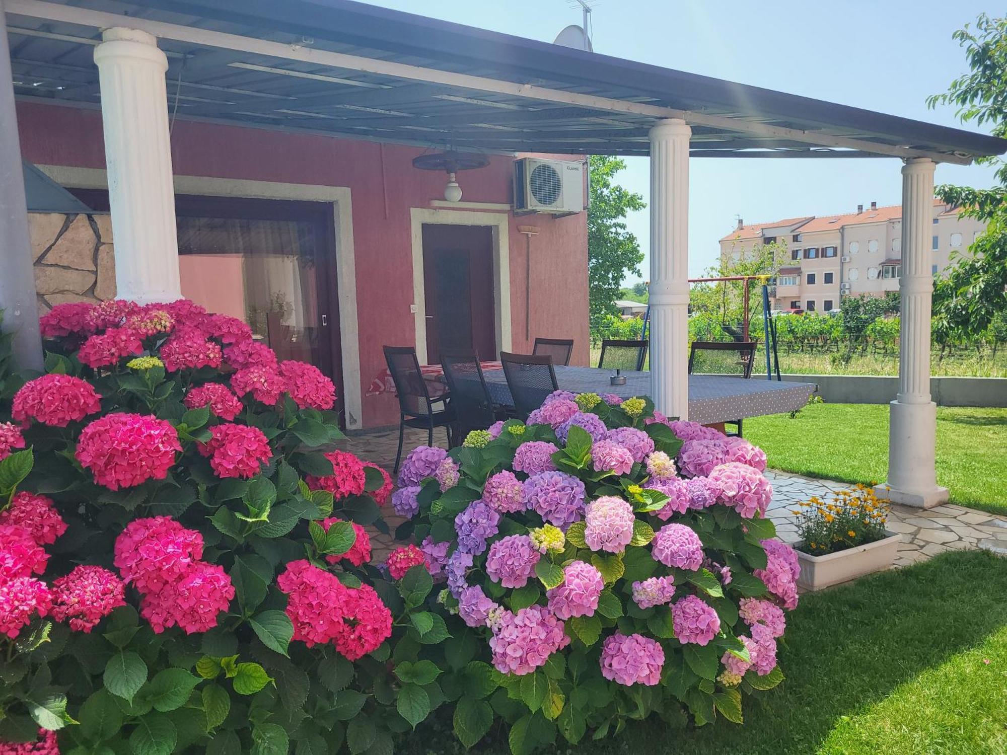 Apartments Dragica ポレッチ エクステリア 写真