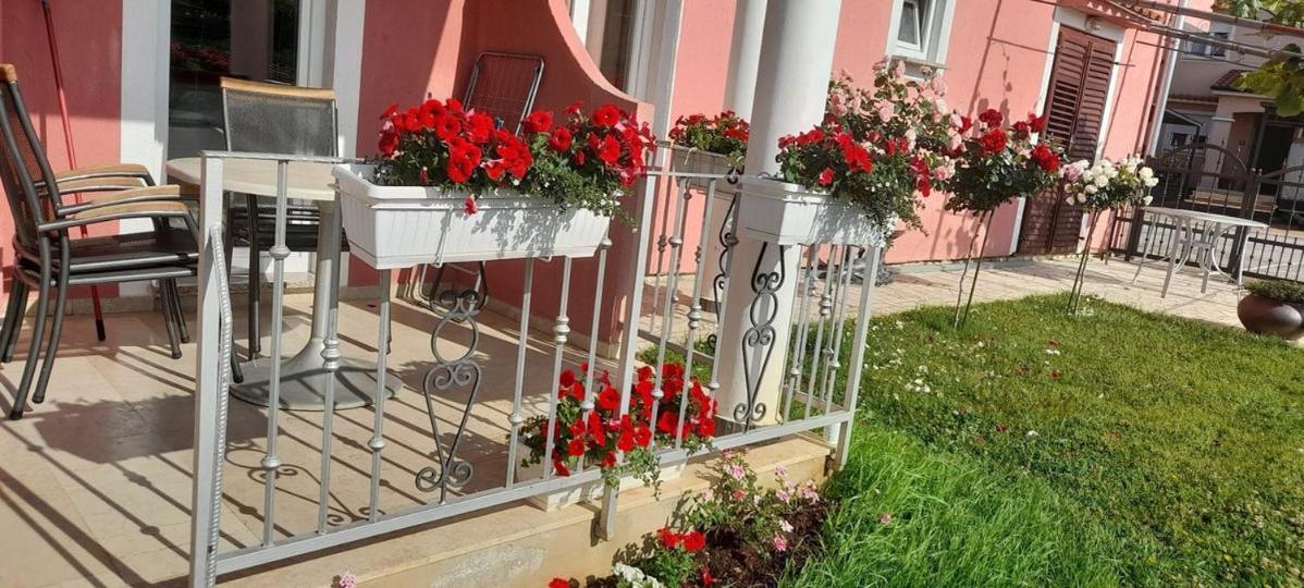 Apartments Dragica ポレッチ エクステリア 写真