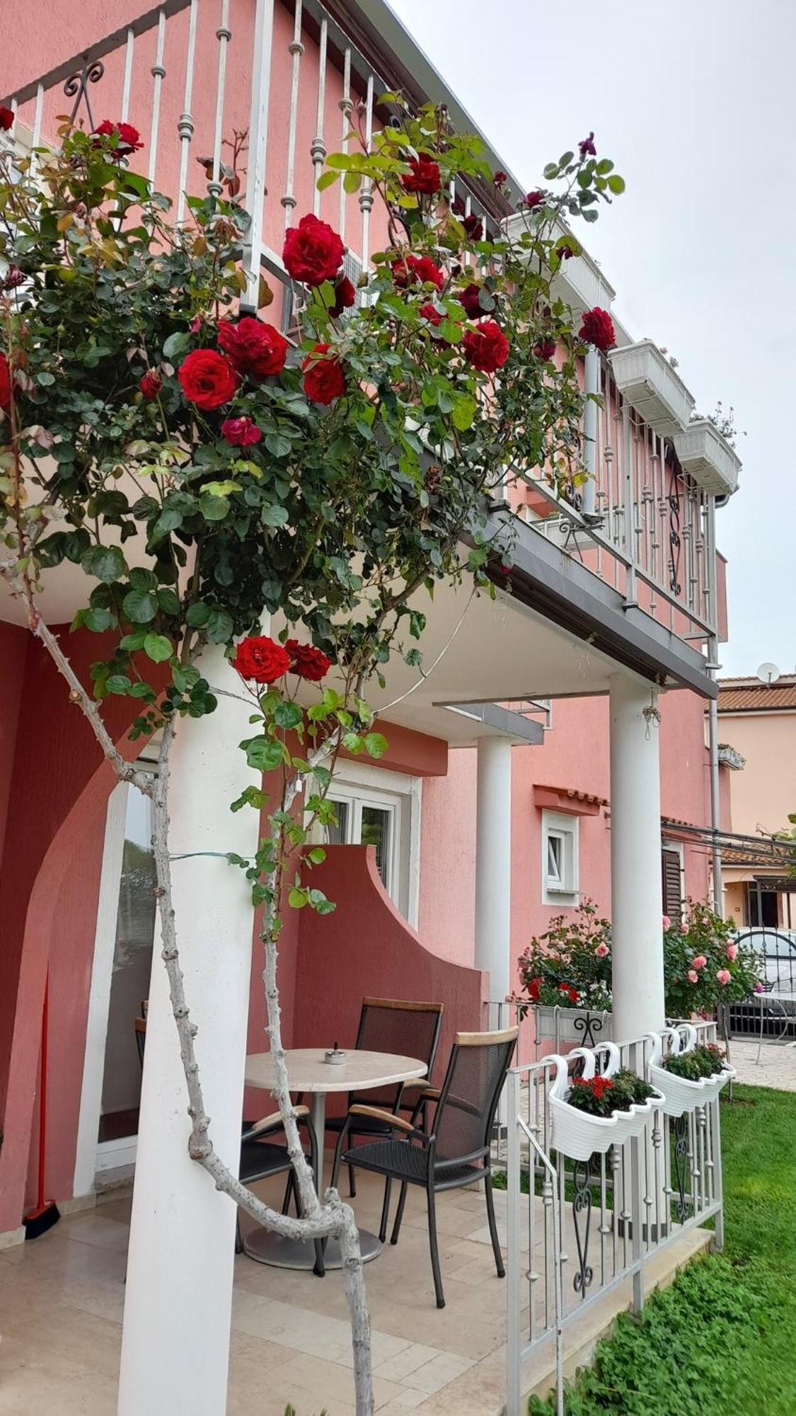 Apartments Dragica ポレッチ エクステリア 写真