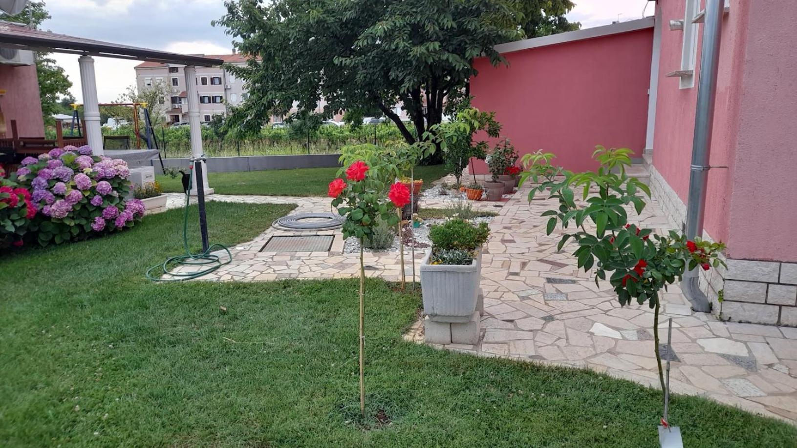 Apartments Dragica ポレッチ エクステリア 写真