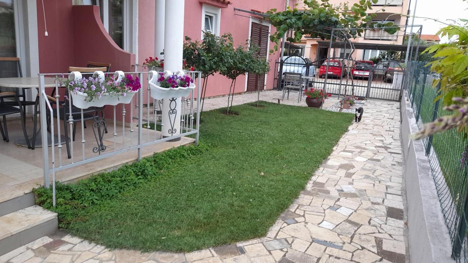 Apartments Dragica ポレッチ エクステリア 写真